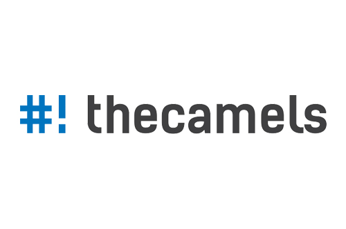 ranking hostingów - THECAMELS